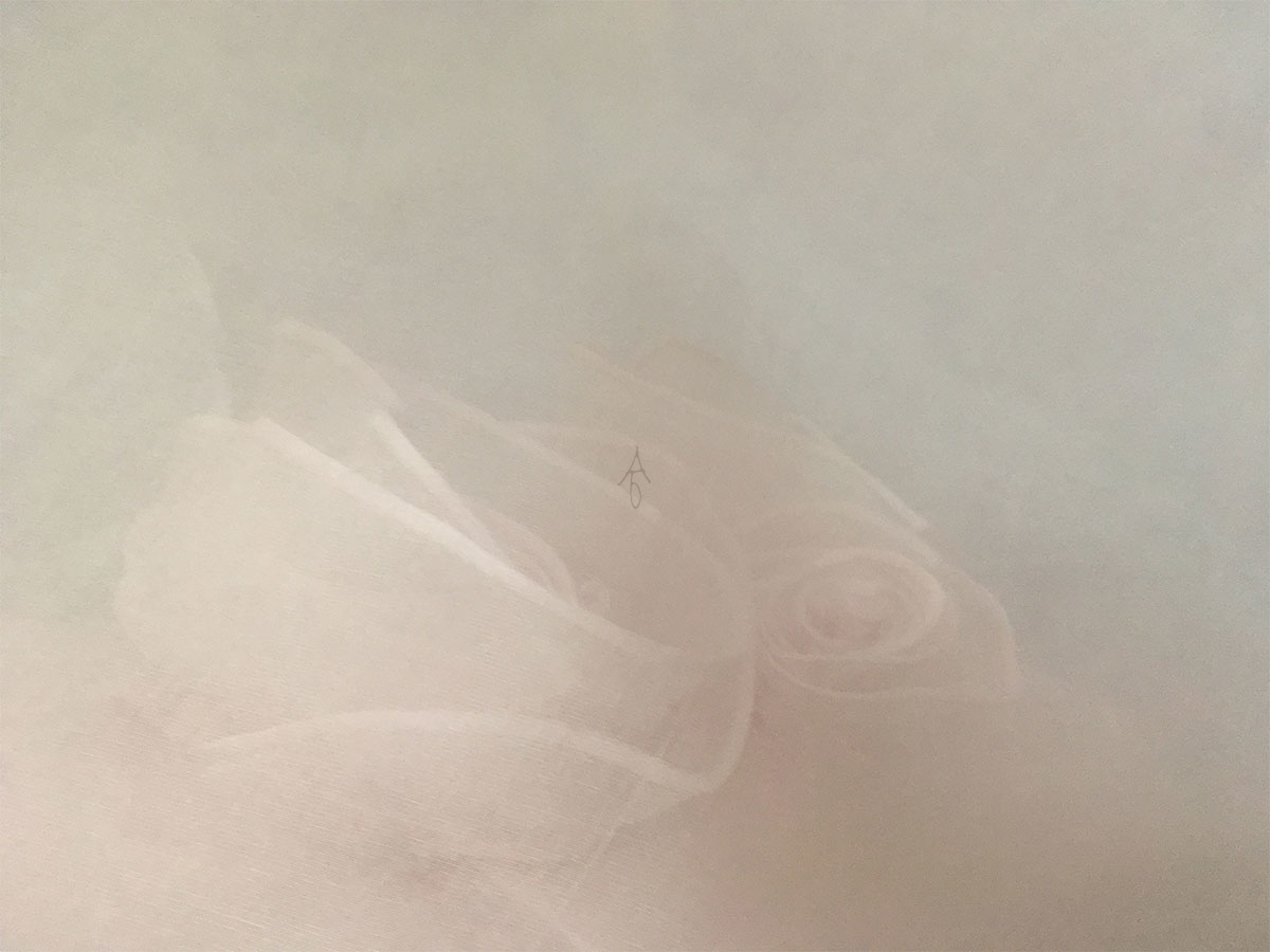 ar_02