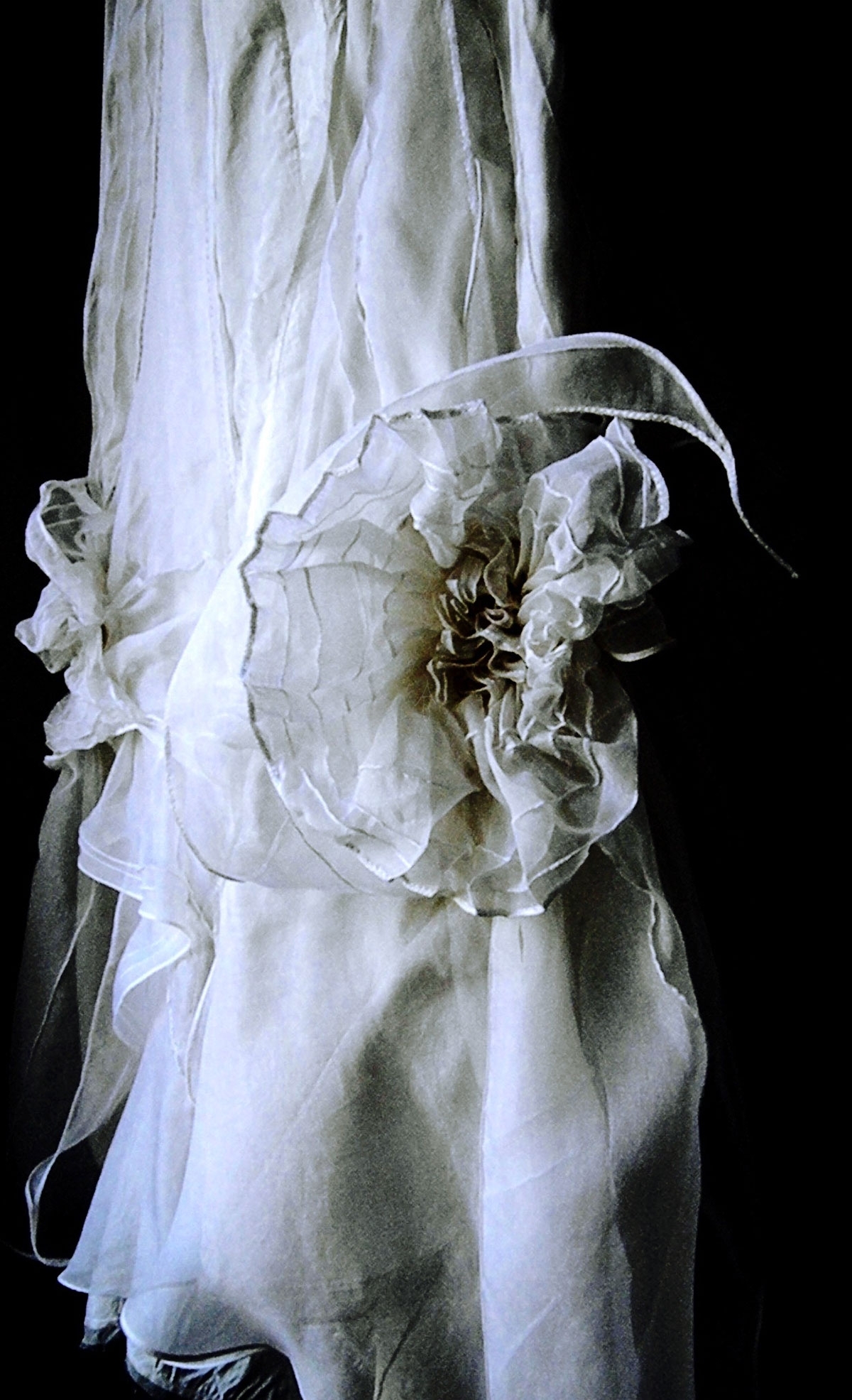 wsilk_02