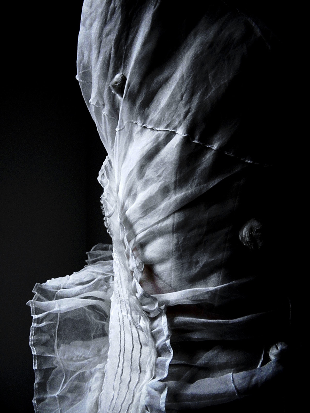 wsilk_05